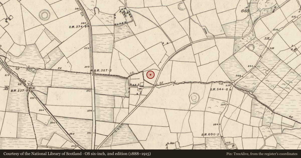 Ordnance Survey six-inch map, 2nd edition (1888–1915) covering the location of Enclosure, Boolacullane, County Kerry, with a pin at the register's coordinates