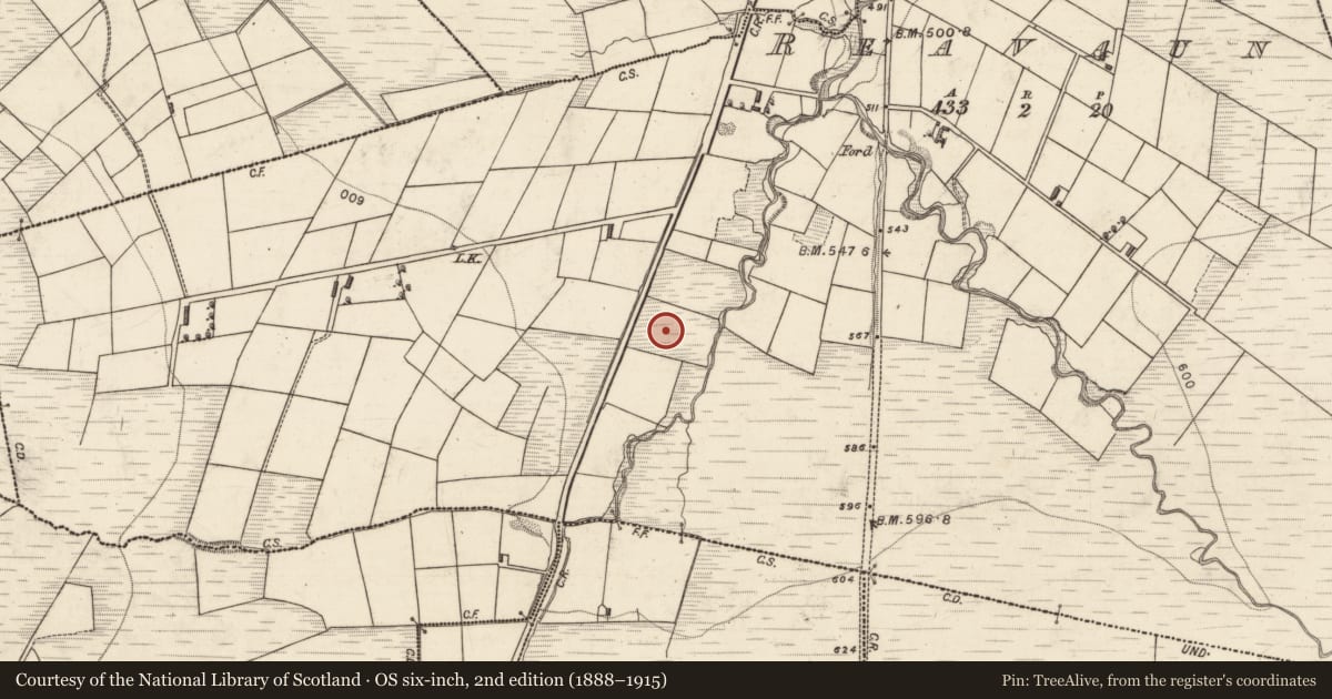 Ordnance Survey six-inch map, 2nd edition (1888–1915) covering the location of Enclosure, Reavaun, County Kerry, with a pin at the register's coordinates