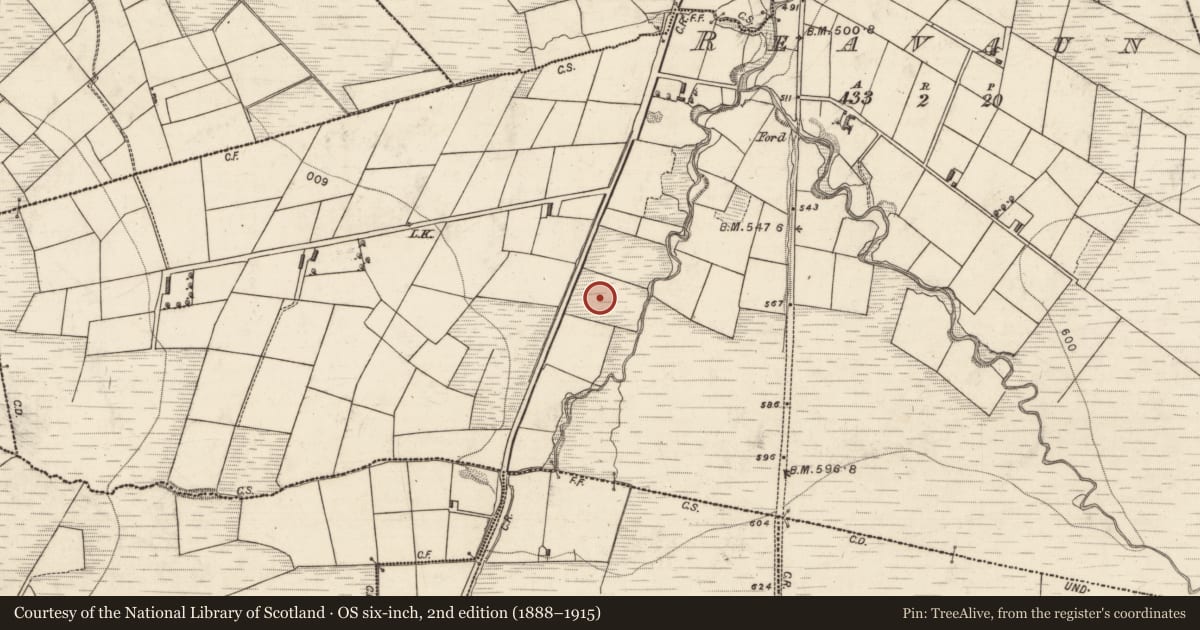 Ordnance Survey six-inch map, 2nd edition (1888–1915) covering the location of Mound, Reavaun, County Kerry, with a pin at the register's coordinates
