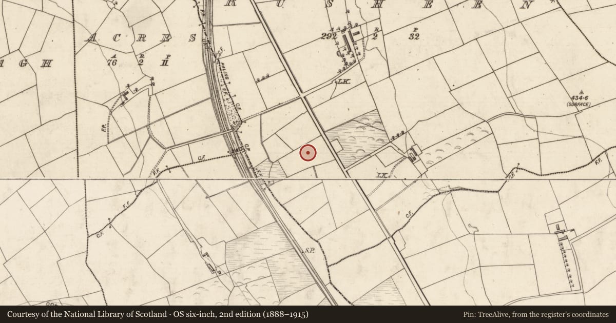 Ordnance Survey six-inch map, 2nd edition (1888–1915) covering the location of Mound, Rusheen, County Kerry, with a pin at the register's coordinates