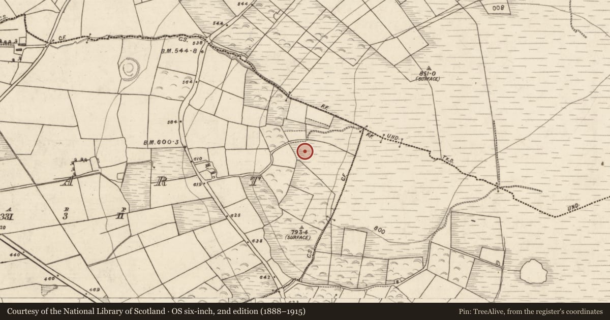 Ordnance Survey six-inch map, 2nd edition (1888–1915) covering the location of Cairn - unclassified, Scart, County Kerry, with a pin at the register's coordinates