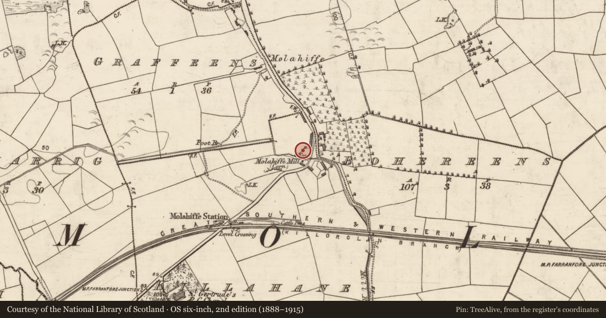 Ordnance Survey six-inch map, 2nd edition (1888–1915) covering the location of Ritual site - holy well, Killahane, County Kerry, with a pin at the register's coordinates