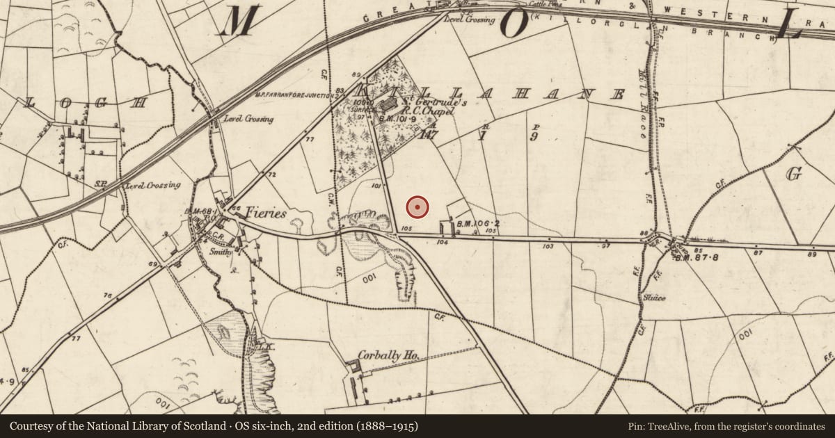 Ordnance Survey six-inch map, 2nd edition (1888–1915) covering the location of Architectural fragment, Killahane, County Kerry, with a pin at the register's coordinates