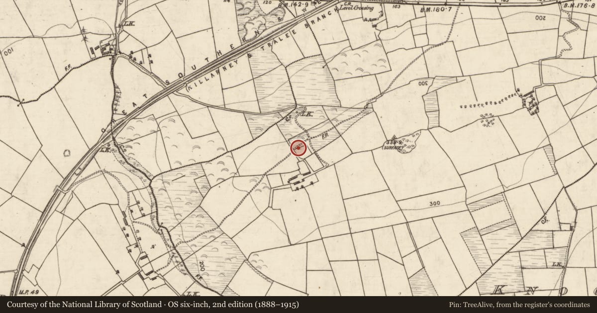 Ordnance Survey six-inch map, 2nd edition (1888–1915) covering the location of Standing stone, Dromore, County Kerry, with a pin at the register's coordinates
