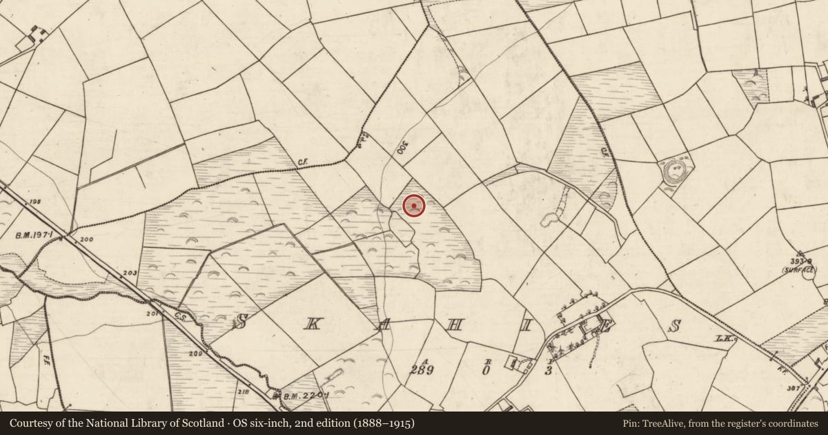 Ordnance Survey six-inch map, 2nd edition (1888–1915) covering the location of Enclosure, Skahies, County Kerry, with a pin at the register's coordinates
