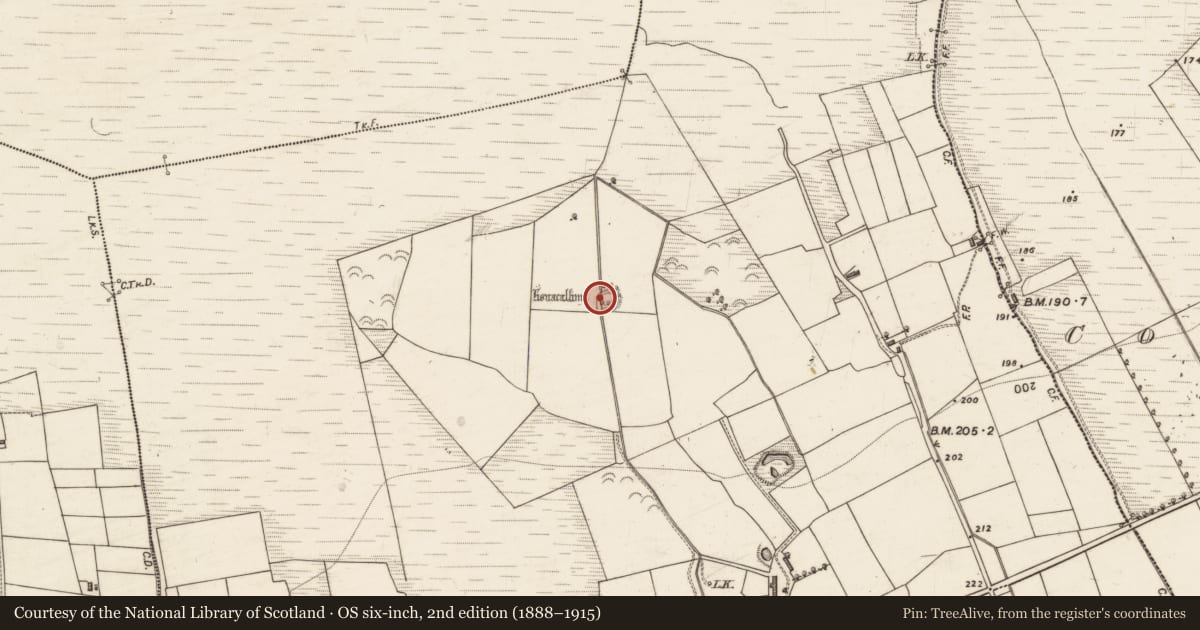 Ordnance Survey six-inch map, 2nd edition (1888–1915) covering the location of Ringfort - rath, Dromultan, County Kerry, with a pin at the register's coordinates