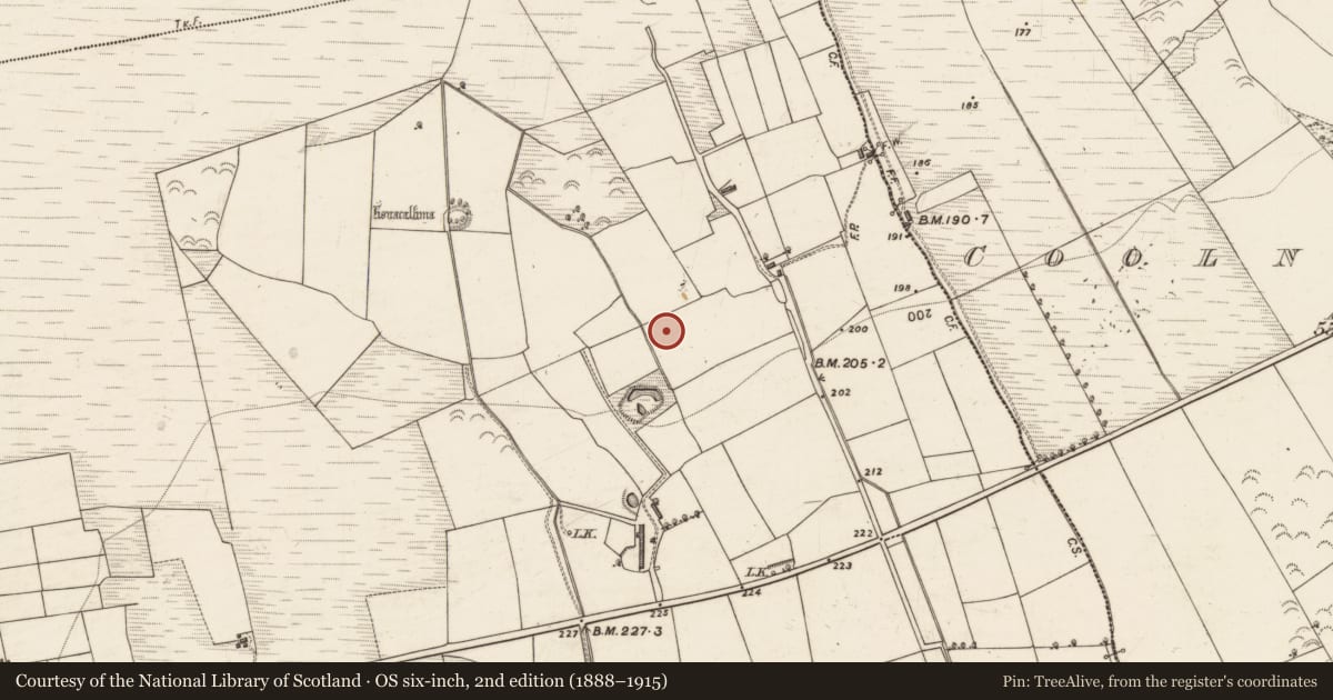 Ordnance Survey six-inch map, 2nd edition (1888–1915) covering the location of Fulacht fia, Dromultan, County Kerry, with a pin at the register's coordinates