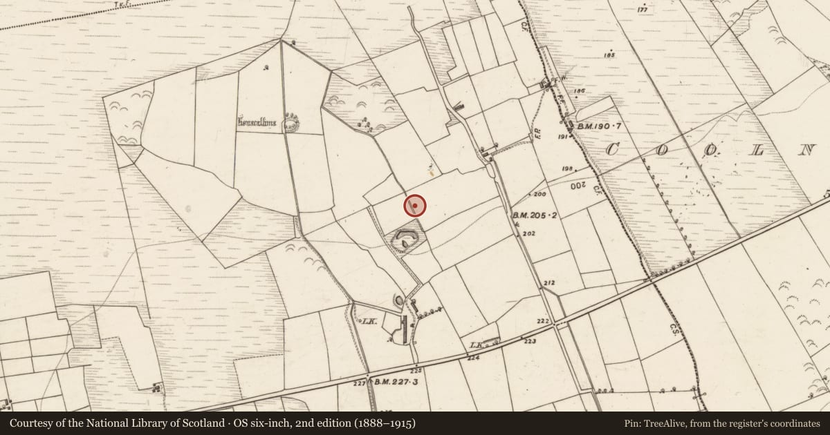 Ordnance Survey six-inch map, 2nd edition (1888–1915) covering the location of Fulacht fia, Dromultan, County Kerry, with a pin at the register's coordinates