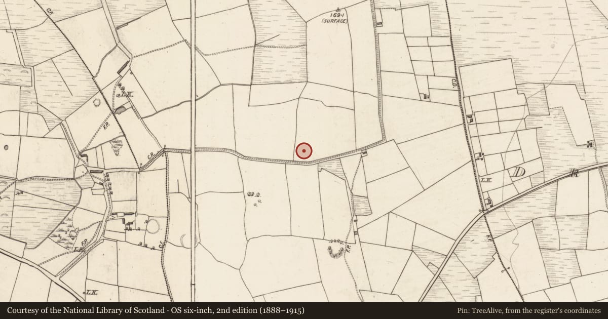 Ordnance Survey six-inch map, 2nd edition (1888–1915) covering the location of Fulacht fia, Ballybeg, County Kerry, with a pin at the register's coordinates
