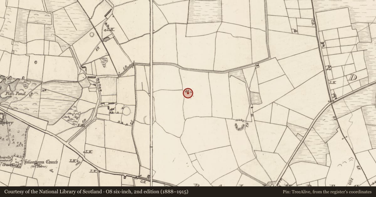 Ordnance Survey six-inch map, 2nd edition (1888–1915) covering the location of Ringfort - rath, Ballybeg, County Kerry, with a pin at the register's coordinates