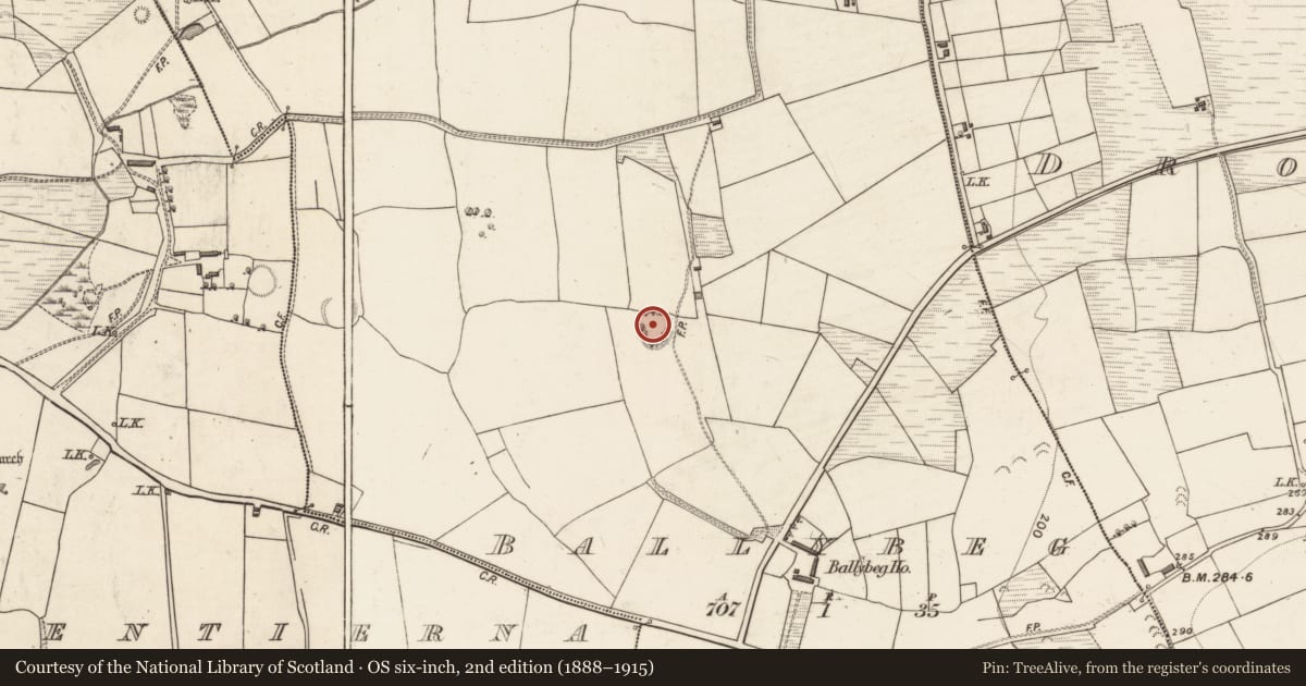 Ordnance Survey six-inch map, 2nd edition (1888–1915) covering the location of Enclosure, Ballybeg, County Kerry, with a pin at the register's coordinates