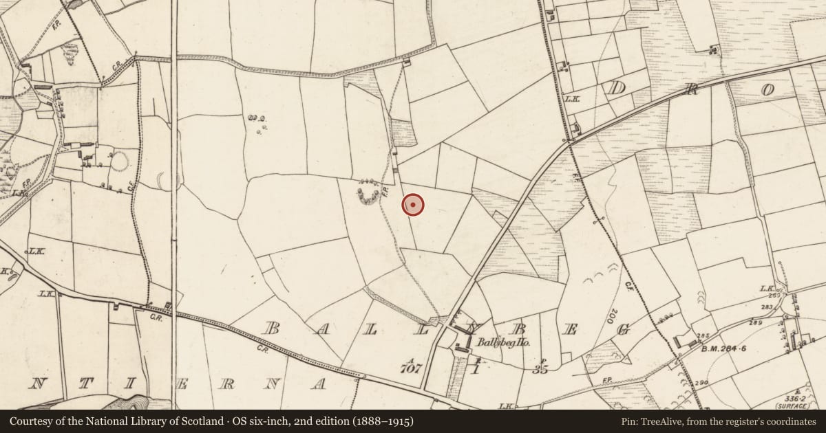 Ordnance Survey six-inch map, 2nd edition (1888–1915) covering the location of Fulacht fia, Ballybeg, County Kerry, with a pin at the register's coordinates