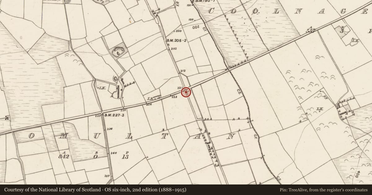 Ordnance Survey six-inch map, 2nd edition (1888–1915) covering the location of Fulacht fia, Dromultan, County Kerry, with a pin at the register's coordinates