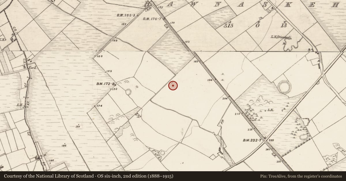 Ordnance Survey six-inch map, 2nd edition (1888–1915) covering the location of Ringfort - rath, Coolnageragh, County Kerry, with a pin at the register's coordinates