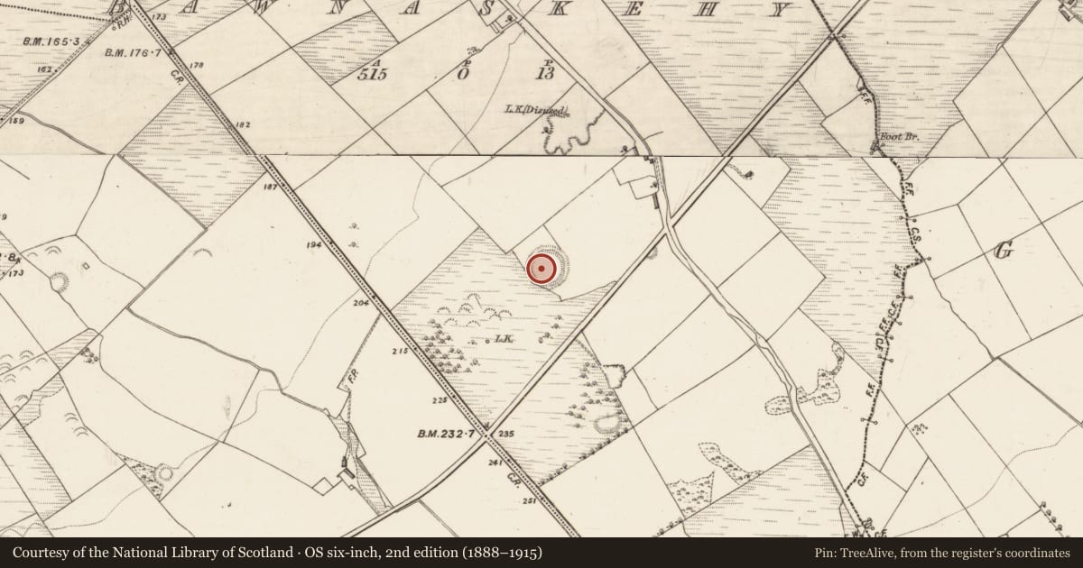 Ordnance Survey six-inch map, 2nd edition (1888–1915) covering the location of Enclosure, Bawnaskehy, County Kerry, with a pin at the register's coordinates