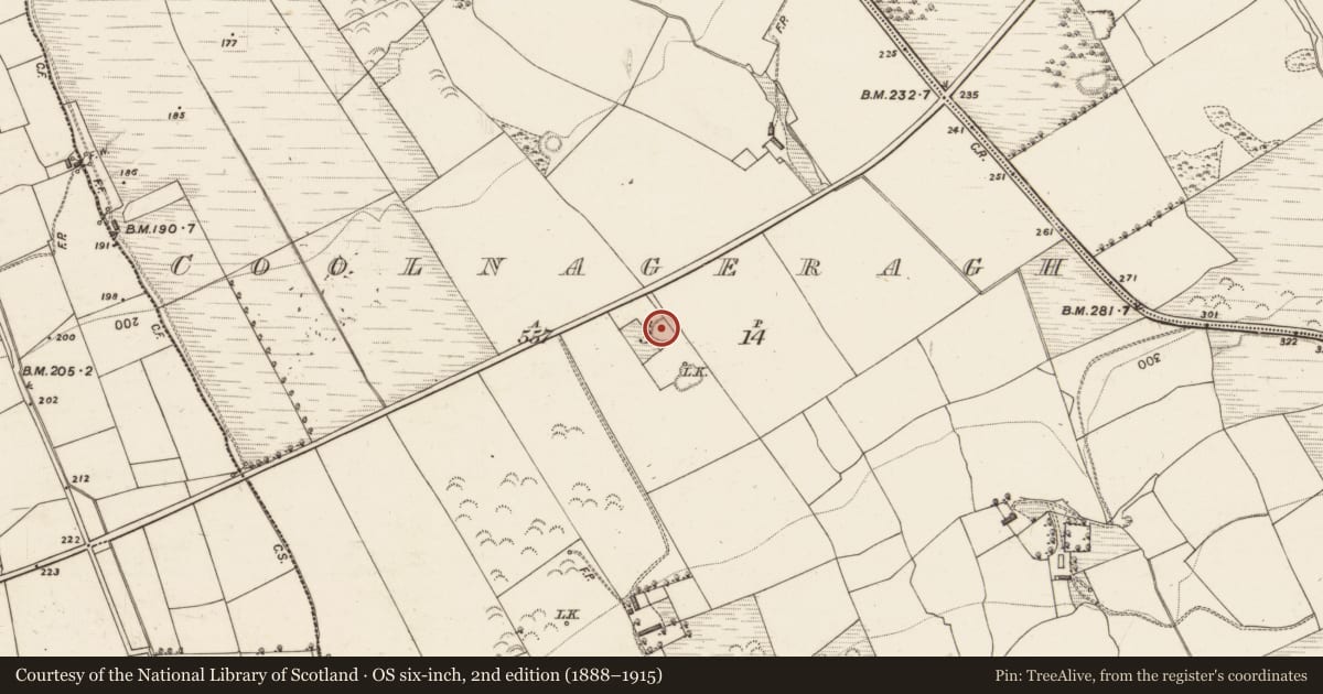 Ordnance Survey six-inch map, 2nd edition (1888–1915) covering the location of Ringfort - rath, Coolnageragh, County Kerry, with a pin at the register's coordinates