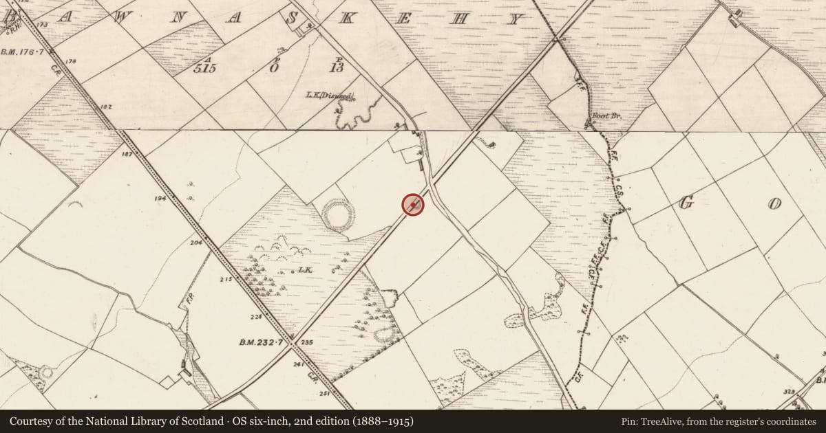 Ordnance Survey six-inch map, 2nd edition (1888–1915) covering the location of Enclosure, Bawnaskehy, County Kerry, with a pin at the register's coordinates