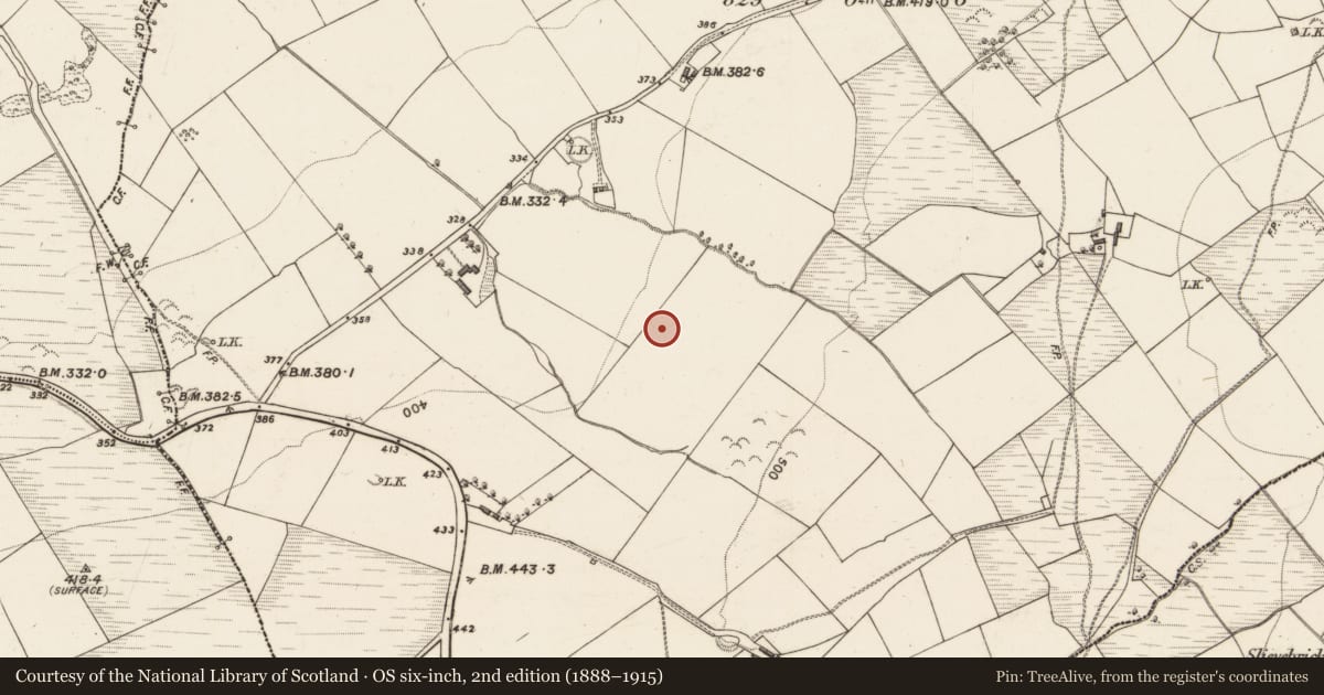Ordnance Survey six-inch map, 2nd edition (1888–1915) covering the location of Enclosure, Gortglass, County Kerry, with a pin at the register's coordinates