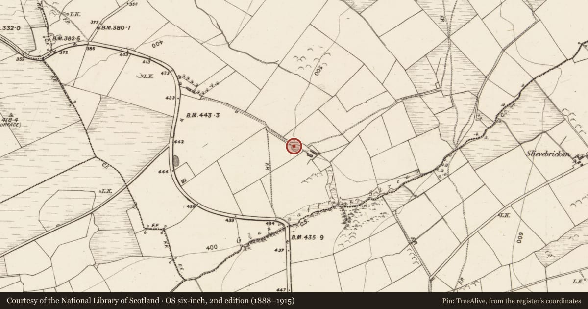 Ordnance Survey six-inch map, 2nd edition (1888–1915) covering the location of Ringfort - rath, Gortglass, County Kerry, with a pin at the register's coordinates