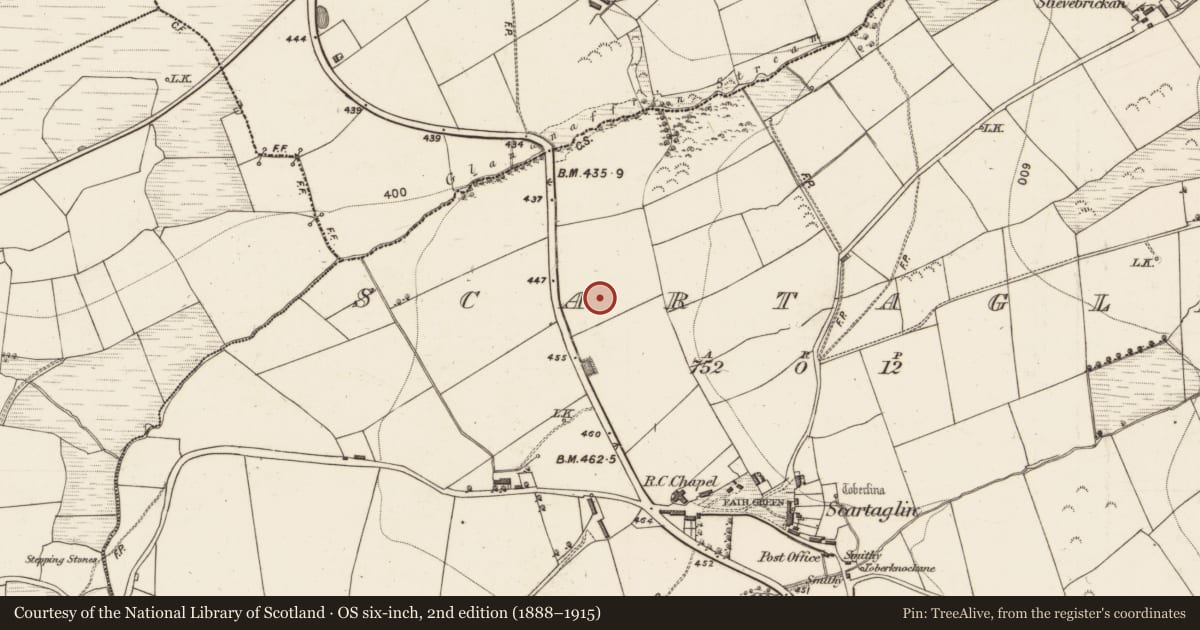 Ordnance Survey six-inch map, 2nd edition (1888–1915) covering the location of Enclosure, Scartaglin, County Kerry, with a pin at the register's coordinates
