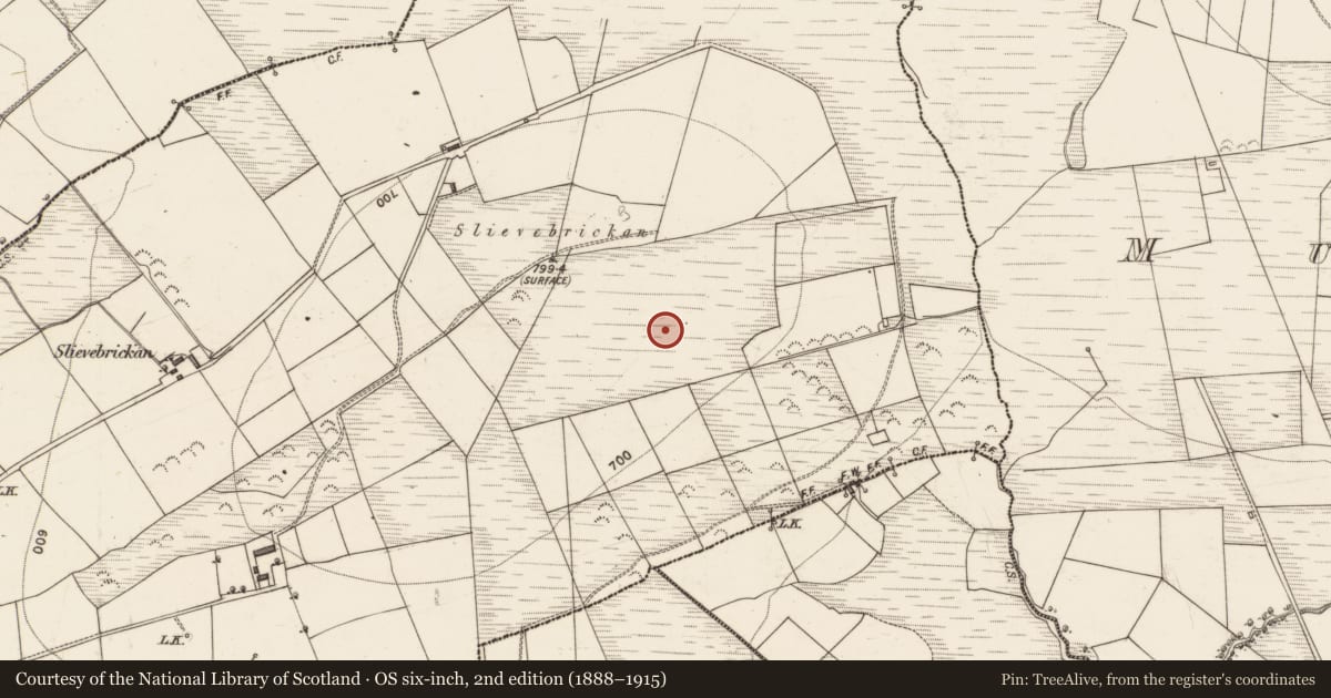 Ordnance Survey six-inch map, 2nd edition (1888–1915) covering the location of Stone circle, Scartaglin, County Kerry, with a pin at the register's coordinates