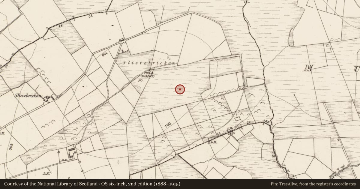 Ordnance Survey six-inch map, 2nd edition (1888–1915) covering the location of Standing stone, Scartaglin, County Kerry, with a pin at the register's coordinates