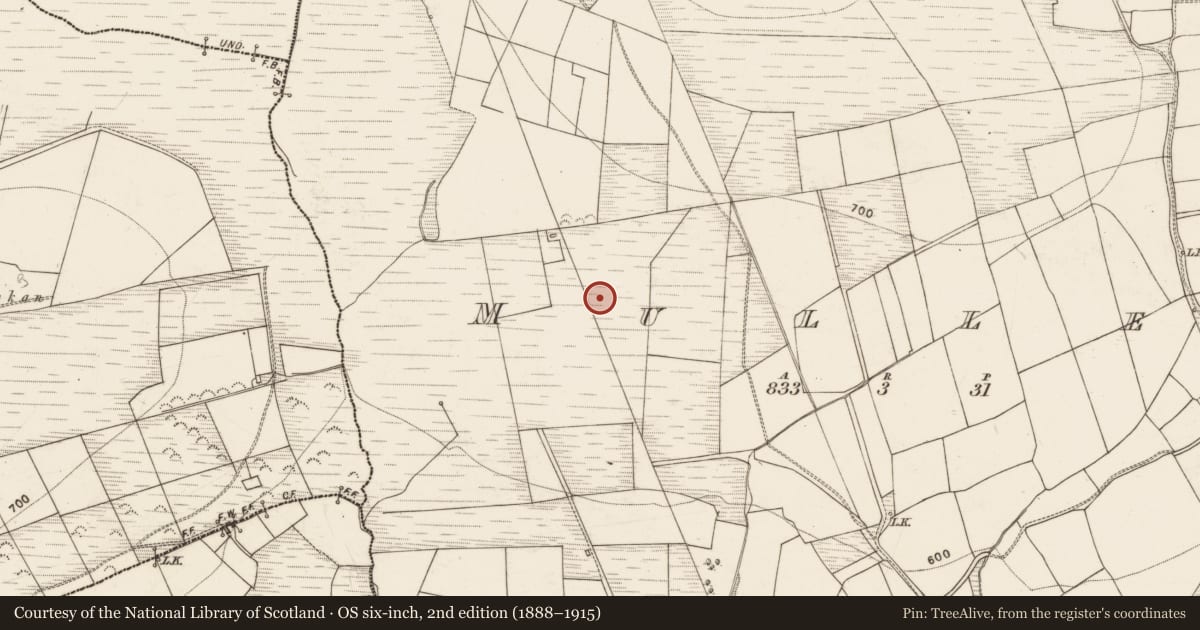 Ordnance Survey six-inch map, 2nd edition (1888–1915) covering the location of Standing stone - pair, Mullen, County Kerry, with a pin at the register's coordinates