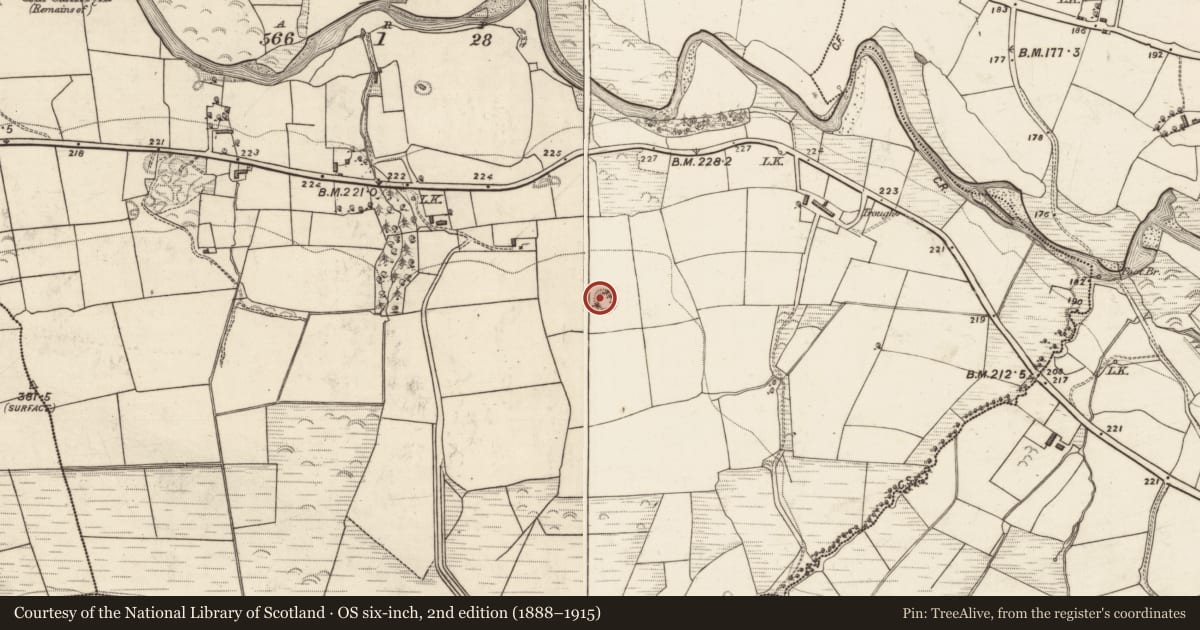 Ordnance Survey six-inch map, 2nd edition (1888–1915) covering the location of Ringfort - rath, Killeentierna, County Kerry, with a pin at the register's coordinates