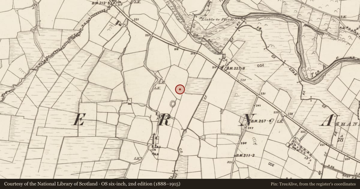 Ordnance Survey six-inch map, 2nd edition (1888–1915) covering the location of Enclosure, Ballybeg, County Kerry, with a pin at the register's coordinates