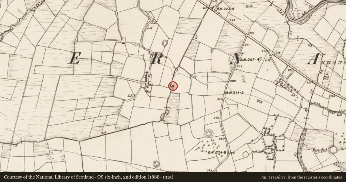 Ordnance Survey six-inch map, 2nd edition (1888–1915) covering the location of Fulacht fia, Ranaleen, County Kerry, with a pin at the register's coordinates