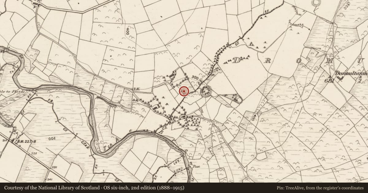 Ordnance Survey six-inch map, 2nd edition (1888–1915) covering the location of Fulacht fia, Dromultan, County Kerry, with a pin at the register's coordinates