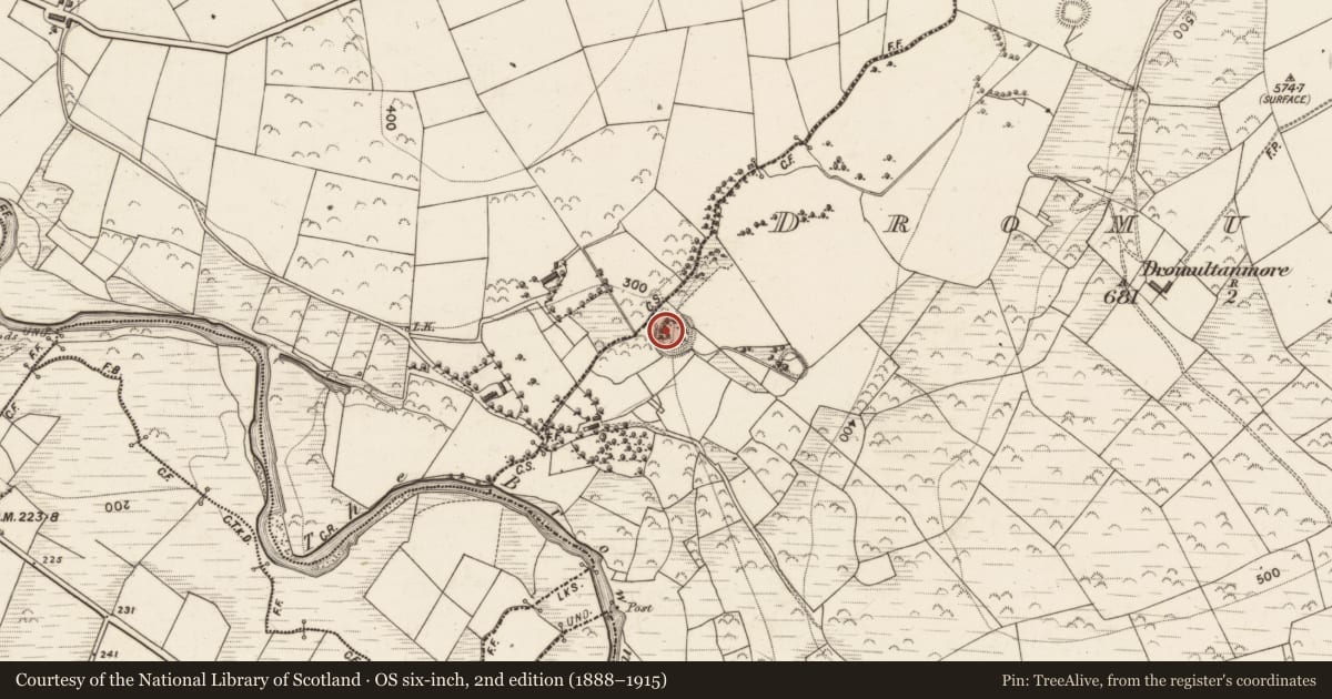 Ordnance Survey six-inch map, 2nd edition (1888–1915) covering the location of Ringfort - rath, Dromultan, County Kerry, with a pin at the register's coordinates
