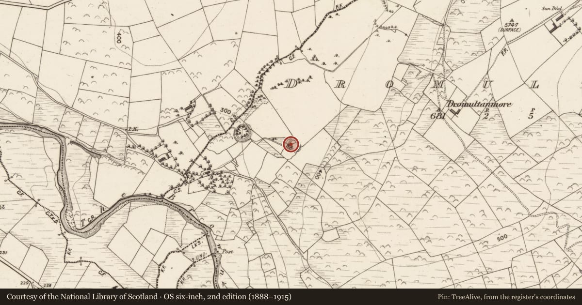 Ordnance Survey six-inch map, 2nd edition (1888–1915) covering the location of Ringfort - rath, Dromultan, County Kerry, with a pin at the register's coordinates