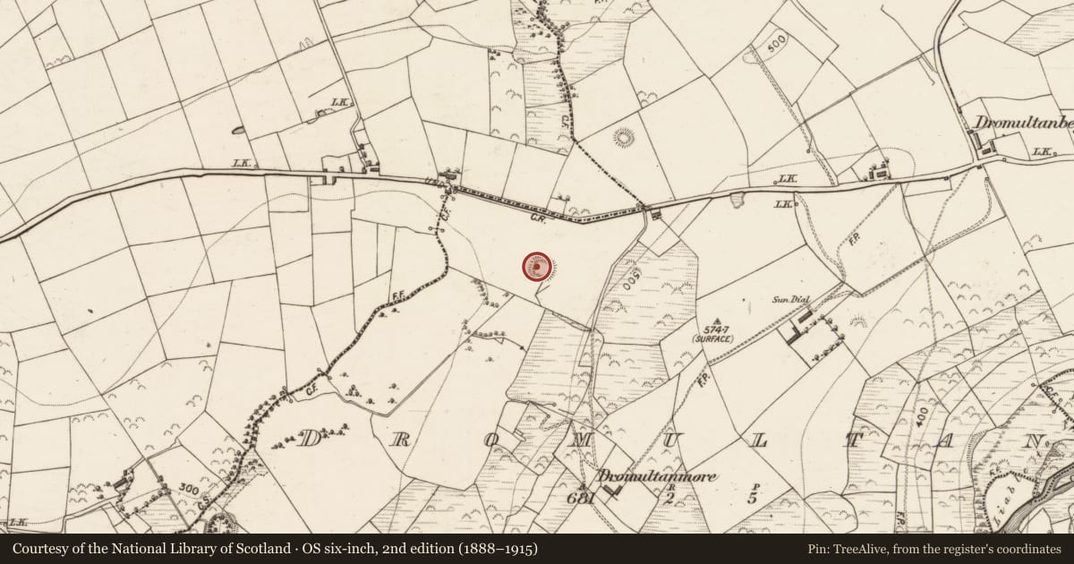Ordnance Survey six-inch map, 2nd edition (1888–1915) covering the location of Ringfort - rath, Dromultan, County Kerry, with a pin at the register's coordinates