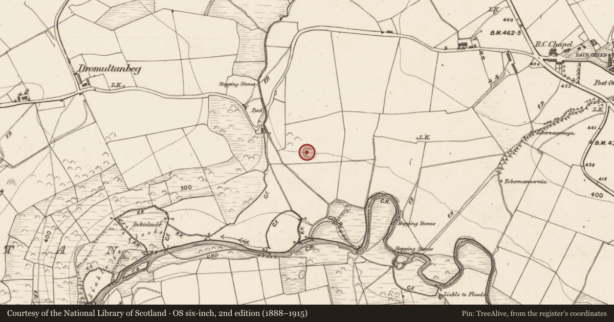 Ordnance Survey six-inch map, 2nd edition (1888–1915) covering the location of Ringfort - rath, Scartaglin, County Kerry, with a pin at the register's coordinates