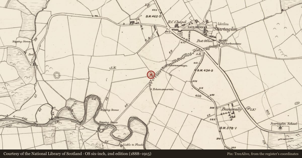 Ordnance Survey six-inch map, 2nd edition (1888–1915) covering the location of Fulacht fia, Scartaglin, County Kerry, with a pin at the register's coordinates