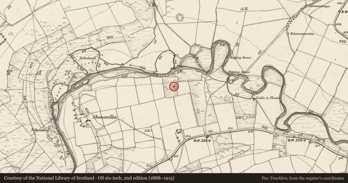 Ordnance Survey six-inch map, 2nd edition (1888–1915) covering the location of Enclosure, Cangullia, County Kerry, with a pin at the register's coordinates