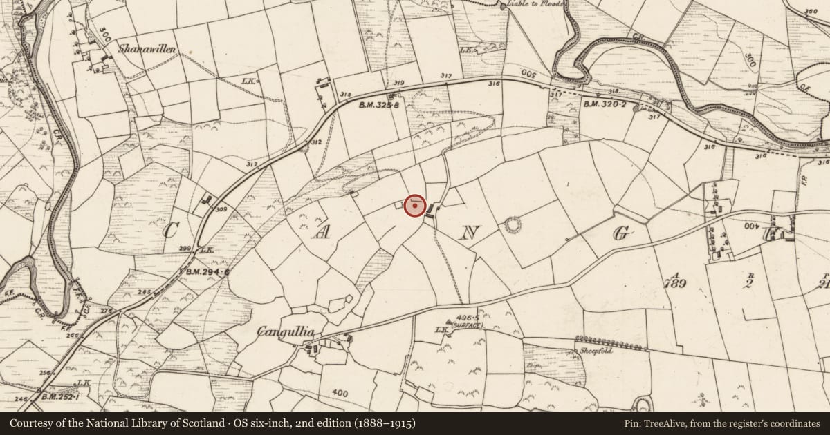 Ordnance Survey six-inch map, 2nd edition (1888–1915) covering the location of Souterrain, Cangullia, County Kerry, with a pin at the register's coordinates