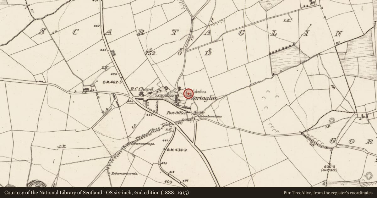 Ordnance Survey six-inch map, 2nd edition (1888–1915) covering the location of Well, Scartaglin, County Kerry, with a pin at the register's coordinates