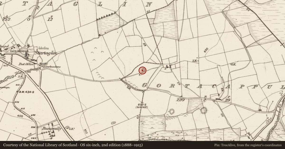 Ordnance Survey six-inch map, 2nd edition (1888–1915) covering the location of Barrow - ring-barrow, Gortacappul, County Kerry, with a pin at the register's coordinates