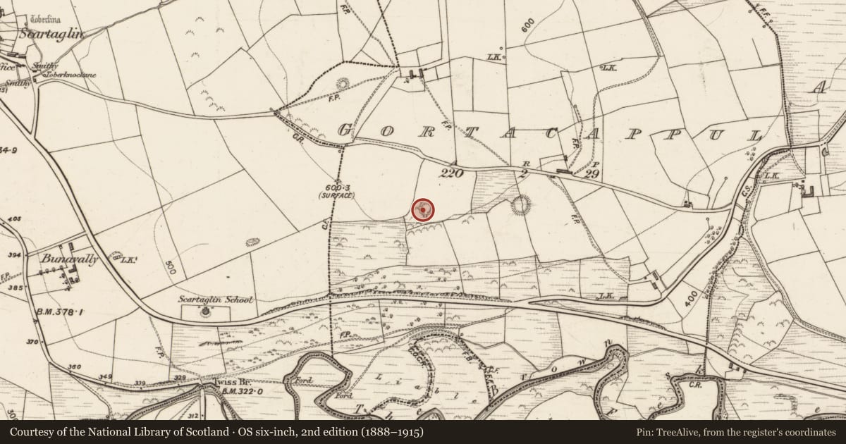Ordnance Survey six-inch map, 2nd edition (1888–1915) covering the location of Ringfort - rath, Gortacappul, County Kerry, with a pin at the register's coordinates