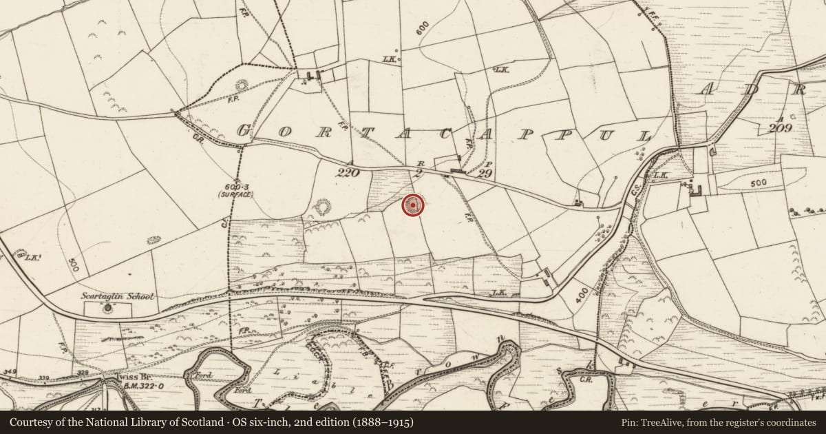 Ordnance Survey six-inch map, 2nd edition (1888–1915) covering the location of Ringfort - rath, Gortacappul, County Kerry, with a pin at the register's coordinates