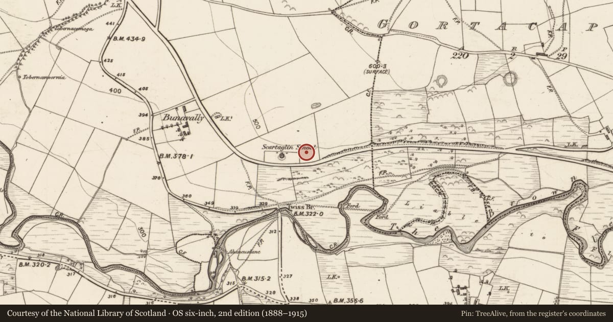 Ordnance Survey six-inch map, 2nd edition (1888–1915) covering the location of Enclosure, Scartaglin, County Kerry, with a pin at the register's coordinates