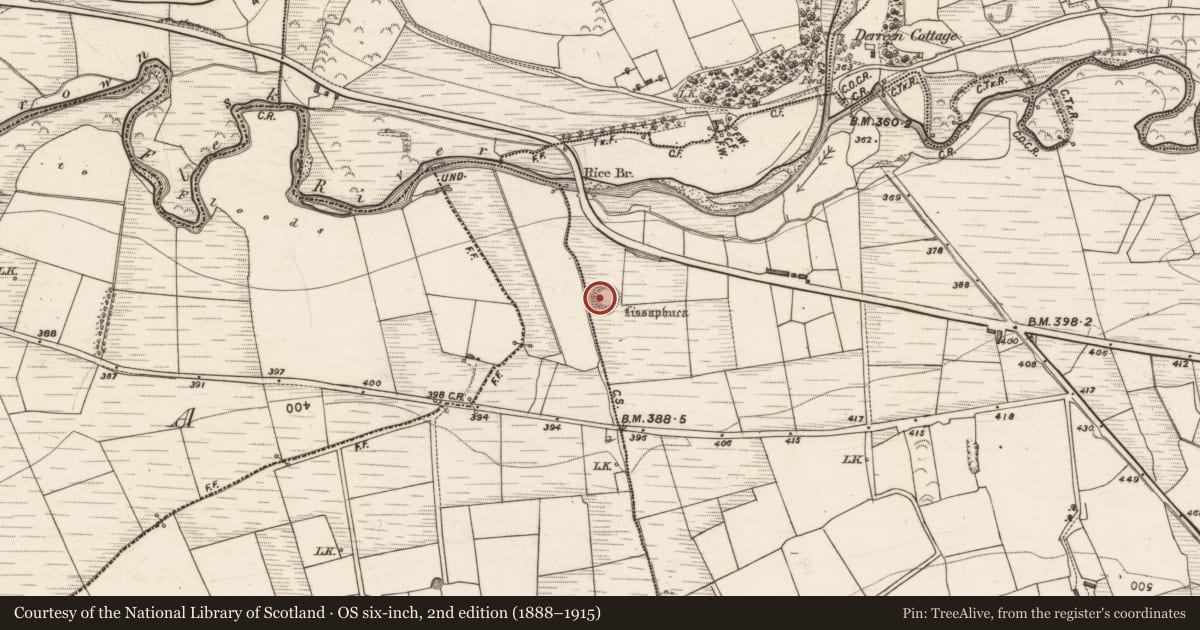 Ordnance Survey six-inch map, 2nd edition (1888–1915) covering the location of Ringfort - rath, Knockrower West, County Kerry, with a pin at the register's coordinates