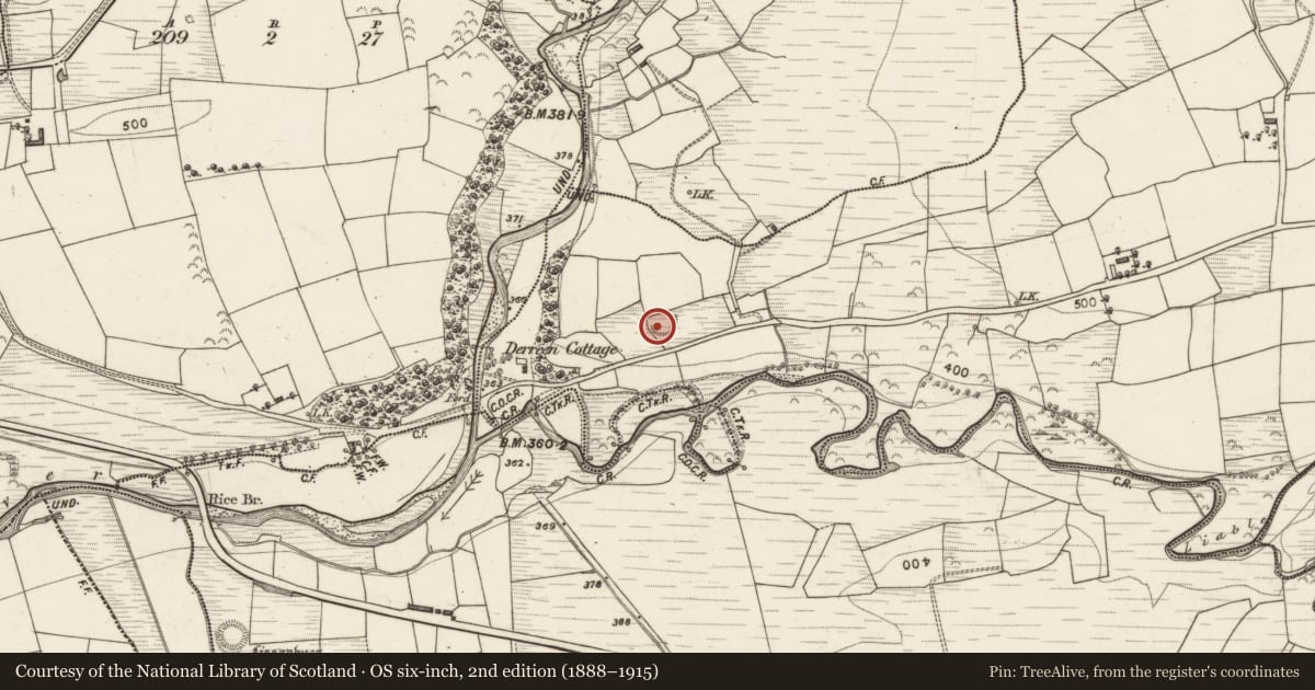 Ordnance Survey six-inch map, 2nd edition (1888–1915) covering the location of Enclosure, Derreen, County Kerry, with a pin at the register's coordinates