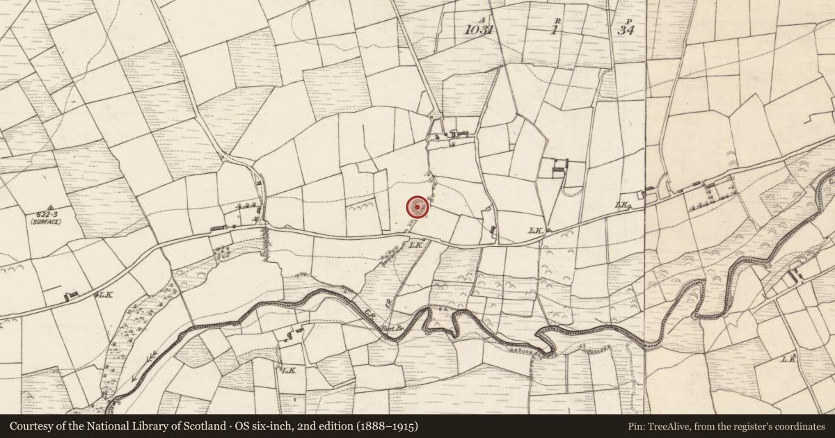 Ordnance Survey six-inch map, 2nd edition (1888–1915) covering the location of Enclosure, Derreen, County Kerry, with a pin at the register's coordinates