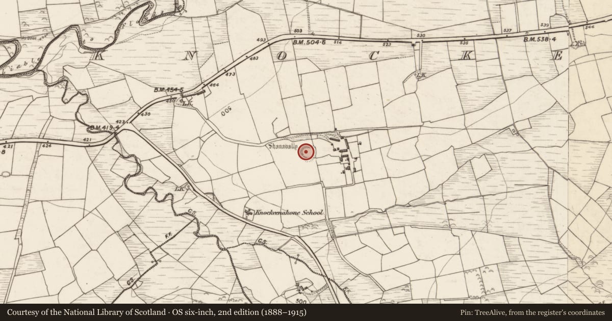 Ordnance Survey six-inch map, 2nd edition (1888–1915) covering the location of Enclosure, Knockeennahone, County Kerry, with a pin at the register's coordinates