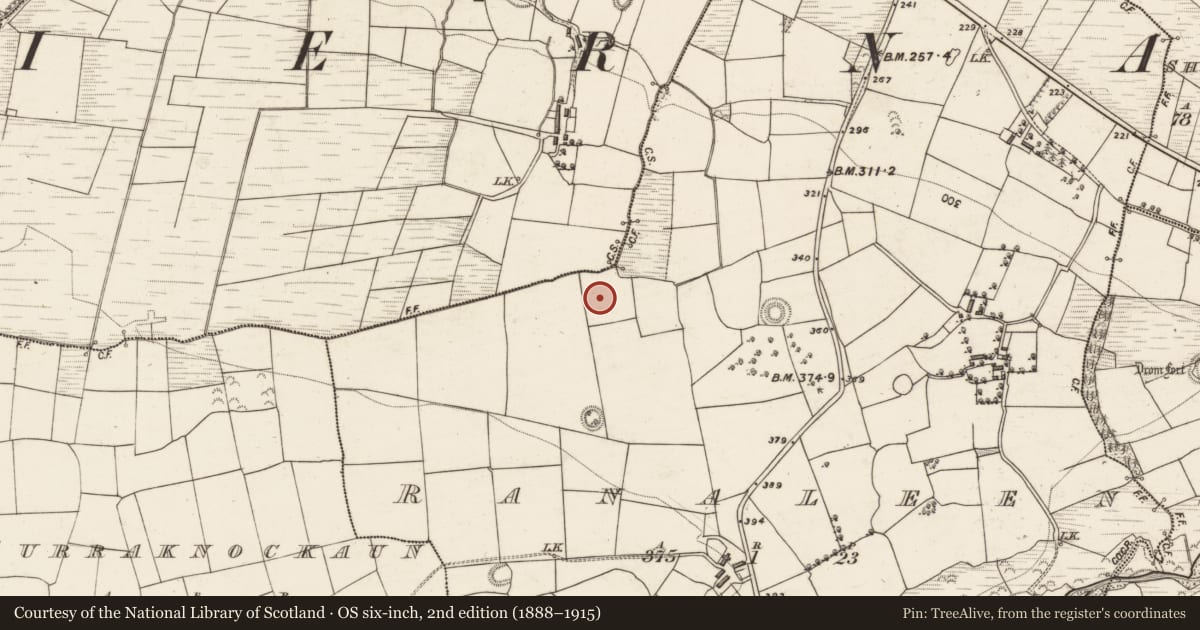 Ordnance Survey six-inch map, 2nd edition (1888–1915) covering the location of Fulacht fia, Ranaleen, County Kerry, with a pin at the register's coordinates