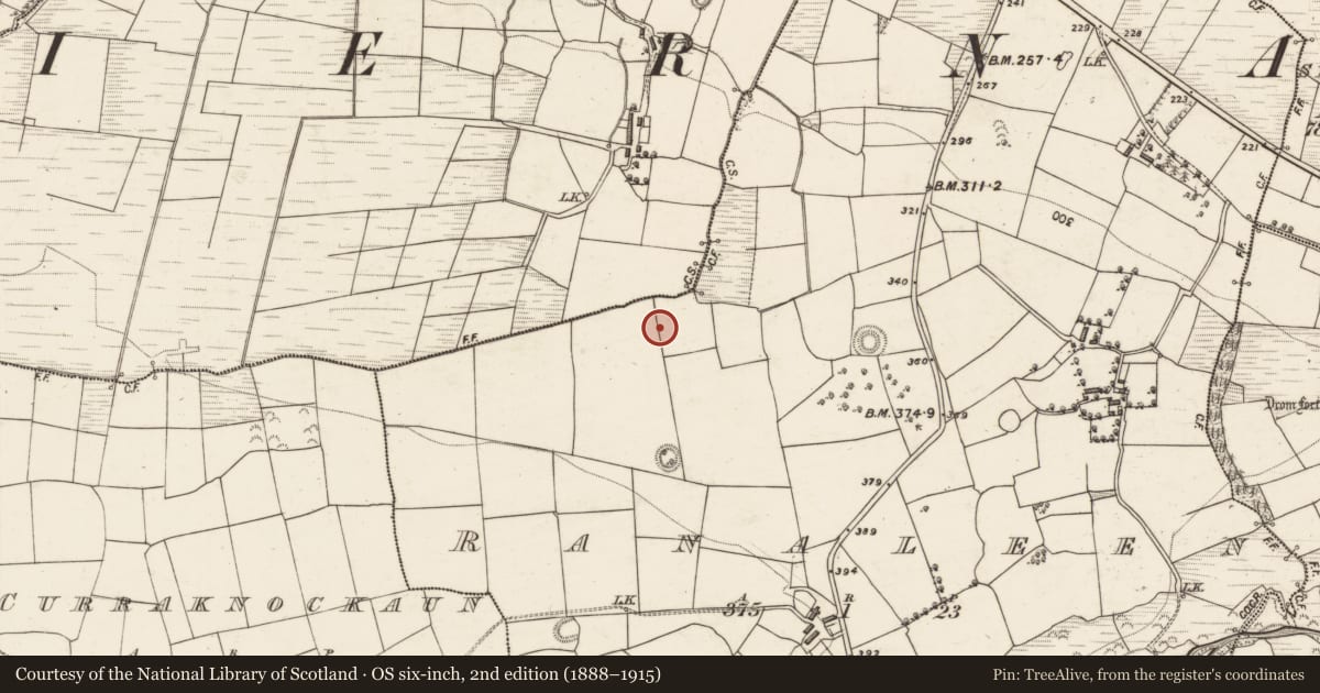 Ordnance Survey six-inch map, 2nd edition (1888–1915) covering the location of Fulacht fia, Ranaleen, County Kerry, with a pin at the register's coordinates