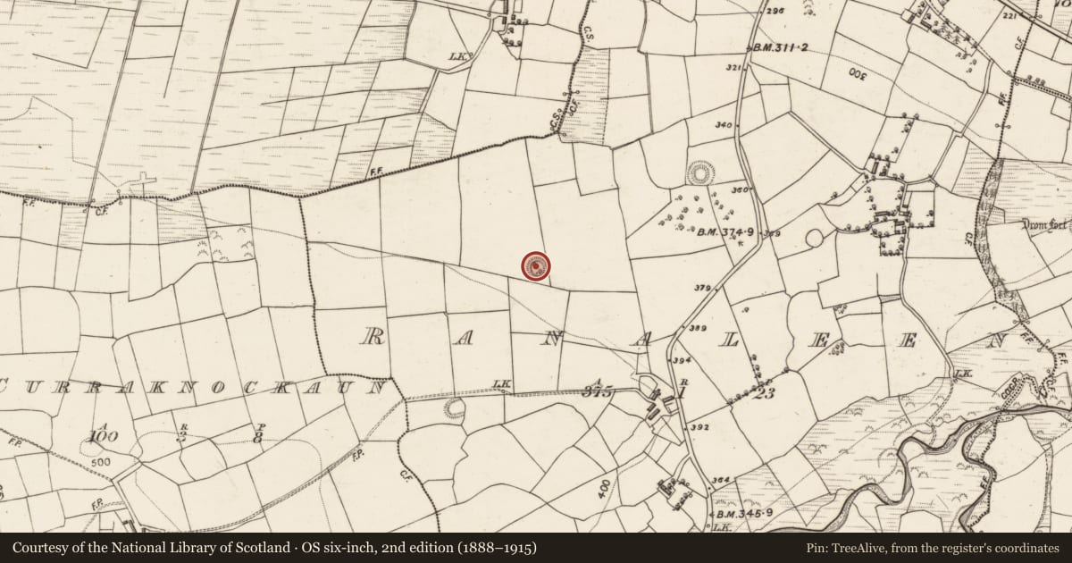 Ordnance Survey six-inch map, 2nd edition (1888–1915) covering the location of Ringfort - rath, Ranaleen, County Kerry, with a pin at the register's coordinates